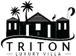 Triton logo1