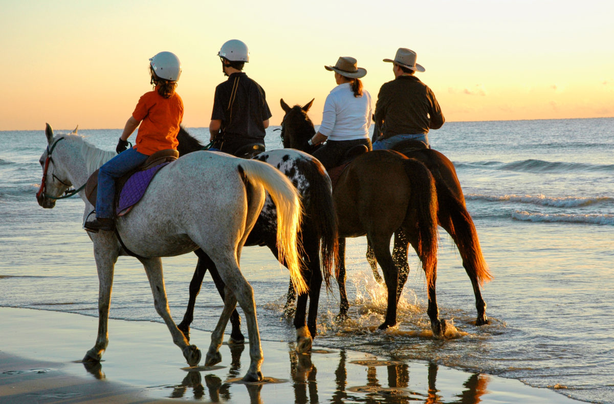 Horseback Riding on Long Bay Beach in Turks and Caicos