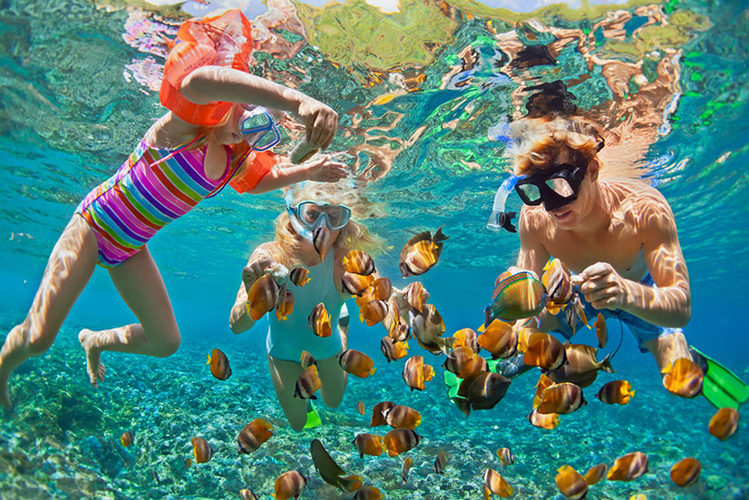Snorkeling in Turks and Caicos at Triton Luxury Villa